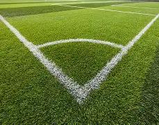 洛夫顿受伤,退赛,上海男篮遭,时时彩,彩票平台,数据分析,在线投注,高频彩票