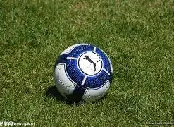 澳网,韦思佳不敌,保利尼,时时彩,彩票平台,数据分析,在线投注,高频彩票